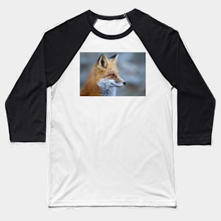 Red Fox - Algonquin Park, Canada Baseball T-Shirt